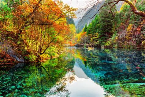 The Five Flower Lake. Colorful Fall Forest Reflected in Water Stock ...