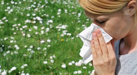 Allergies Les Solutions Naturelles