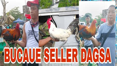 MGA SELLER SA BOCAUE DAGSA MANOK NA QUALITY MGA KANAWAYON MELSIM GREY