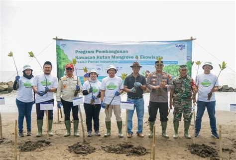 Tugu Insurance Tanam Mangrove Di Indramayu Untuk Jaga Keseimbangan