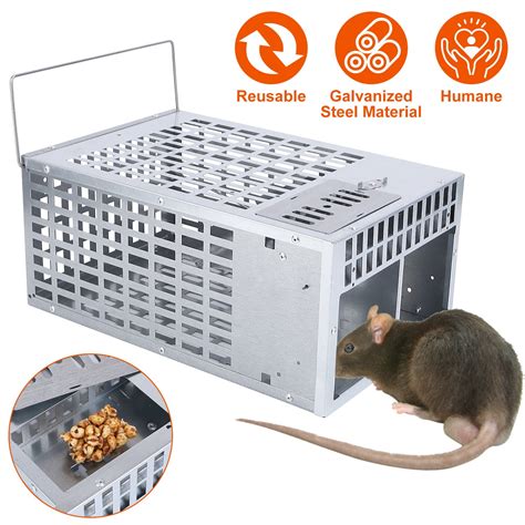 Humane Rat Trap Teqhome Chipmunk Rodent Trap Work For Indoor Outdoor