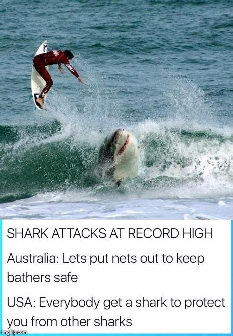 Shark Attack Meme