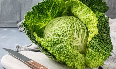 Wirsing Zubereiten Bis Minuten Kochen So Gelingt Wirsingkohl