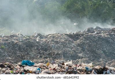 Household Garbage Dump Pollution Stock Photo 681641992 | Shutterstock