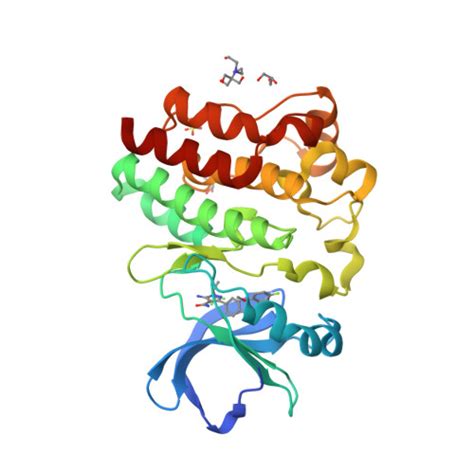 Rcsb Pdb Fln Crystal Structure Of Btk C S Kinase Domain In