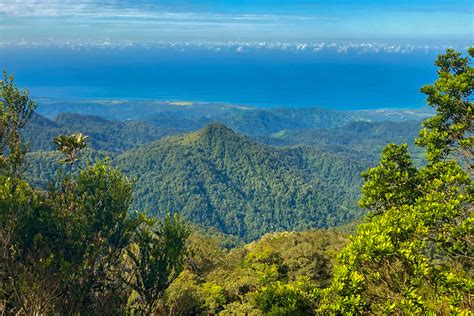 Mining and logging threaten a wildlife wonderland on a Philippine mountain