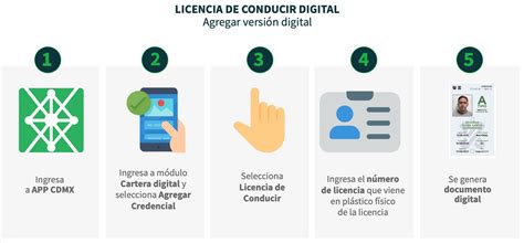 Paso A Paso Cómo Reponer La Licencia De Conducir Permanente En La Cdmx