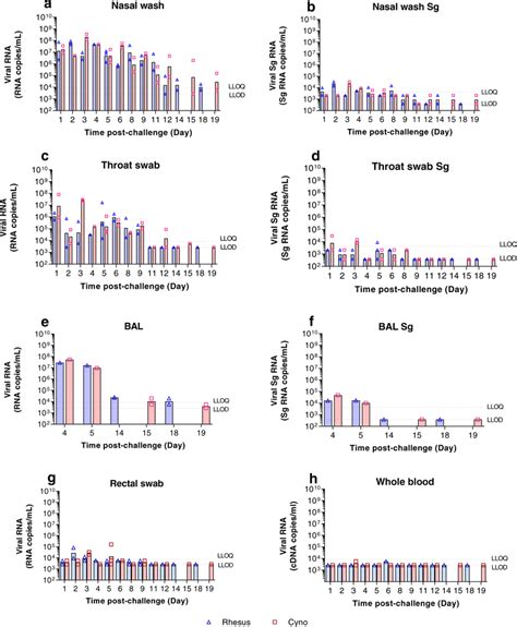 Viral RNA Detected By RT QPCR Viral Load Presented As The Geometric