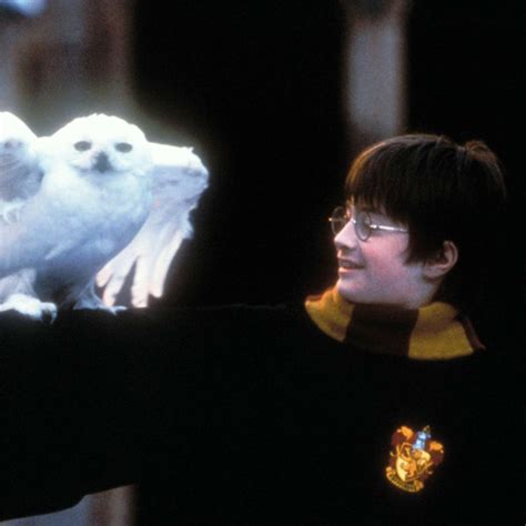 'Harry Potter' TV series based on book series announced - ABC News