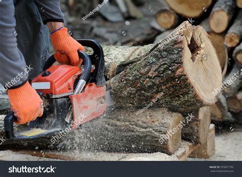 Closeup Professional Chainsaw Blade Cutting Log Stock Photo 355871792 ...