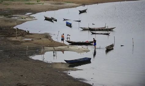 Brasil tem mais de mil cidades em situação de seca extrema ou severa