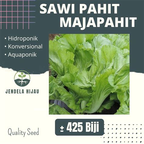 Jual Benih Sawi Pahit Majapahit Bintang Asia Bibit Tanaman Sayuran