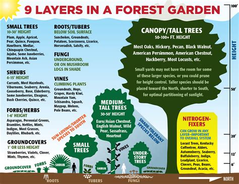 Food Forest Garden Tour Series – Van-Kal Permaculture