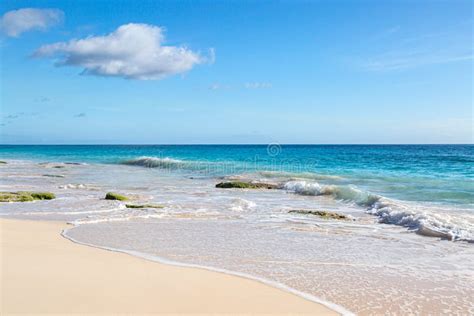 Elbow Beach, Bermuda stock photo. Image of idyllic, horizon - 169660930