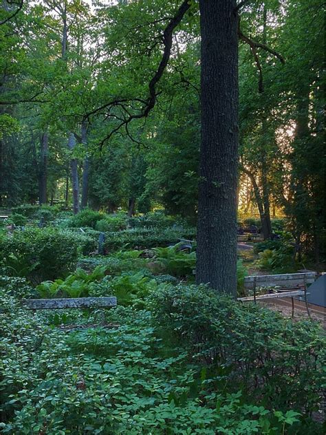 Cemetery Graveyard Foliage Free Photo On Pixabay Pixabay