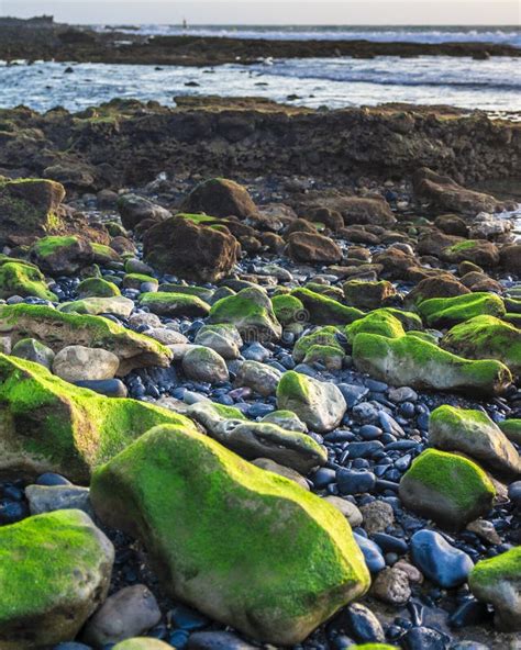 Green stones by the ocean stock photo. Image of island - 115375546