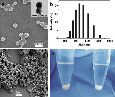 Bovine Serum Albumin Nanoparticles As Controlled Release Carrier For