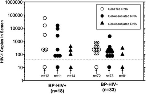 Highly Active Antiretroviral Therapy Does Not Completely Suppress Hiv