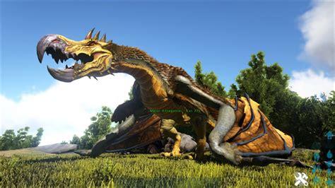 Dodo Wyvern Ark Survival Evolved Youtube