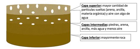 Las Capas Del Suelo