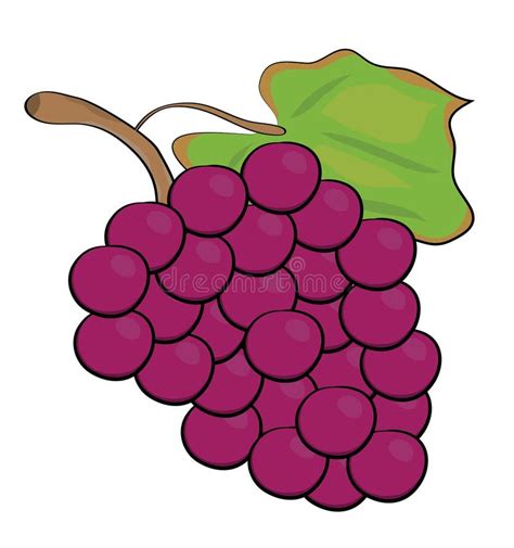 Ejemplo De Las Uvas Stock De Ilustraci N Ilustraci N De Manzana