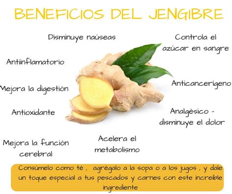 Propiedades Y Beneficios Del Jengibre O Kion Propiedades Y Beneficios