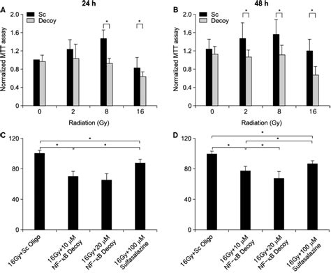 Cell survival assay 10 µM NF κB decoy transfection resulted in a