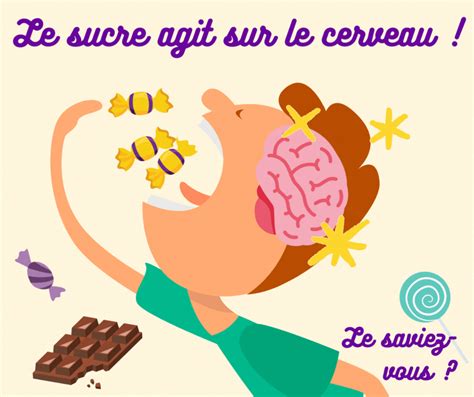 Les Effets Du Sucre Sur Le Cerveau Speechneurolab