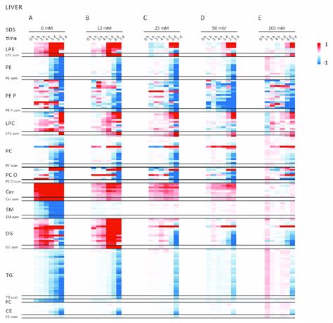 Heat Maps Showing The Results Of The Lipidomic Analysis Of Liver