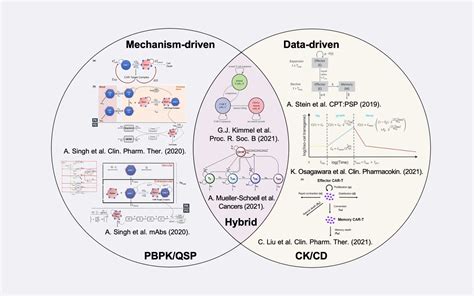 Optimizing Car T Cell Exposure Pharmetheus