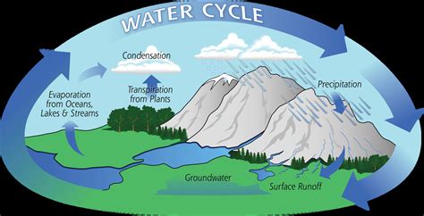 Water Cycle