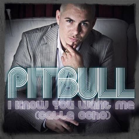 I Know You Want Me Cover Pitbull Rapper Photo 24231689 Fanpop