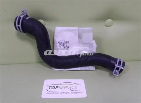 Mangueira Cano Derivado Do Radiador De Esfriamento Superior Para Citroen Berlingo B9 2013 Ano