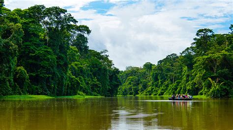 Guide To Tortuguero Costa Rica Caribbean Coastal Wildlife