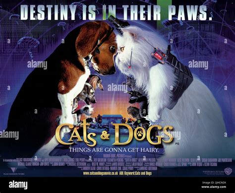 FILM POSTER, CATS and DOGS, 2001 Stock Photo - Alamy