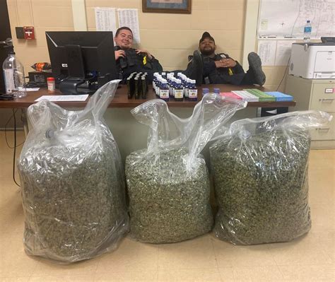 Motorist Was Transporting Pounds Of Bagged Pot Police