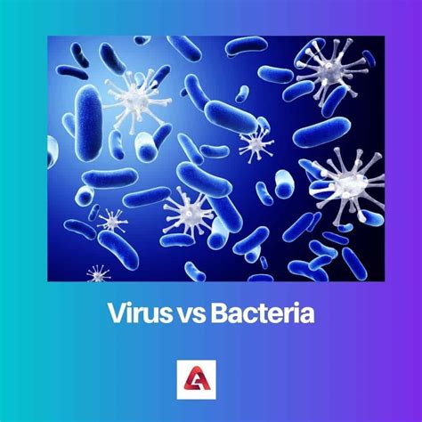 Virus Vs Bacteria Difference And Comparison