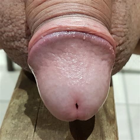 Gland 2 30 Nude Pics XHamster