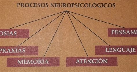 Psico Neuro Educación