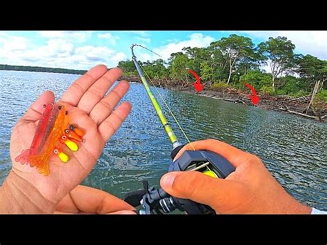 Pegamos Muitos Peixes No Mangue Micro Jig E Camar O Artificial