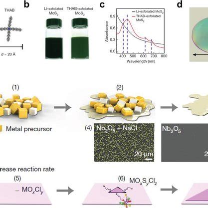 Synthesis and fabrication of 2D materials beyond graphene. a ...