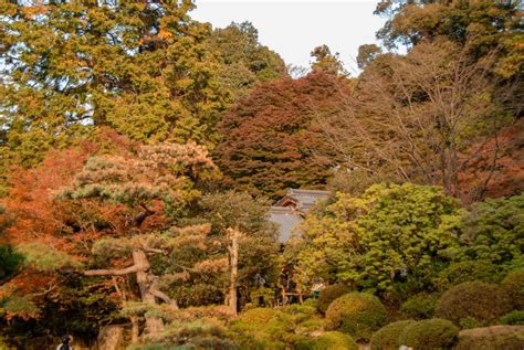 The 10 Best Autumn Leaves Spots In Kyoto You Should Definitely Visit!