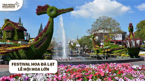 Festival Hoa Đà Lạt Lễ Hội Hoa Lớn Nhất Thành Phố Sương Mù Tám