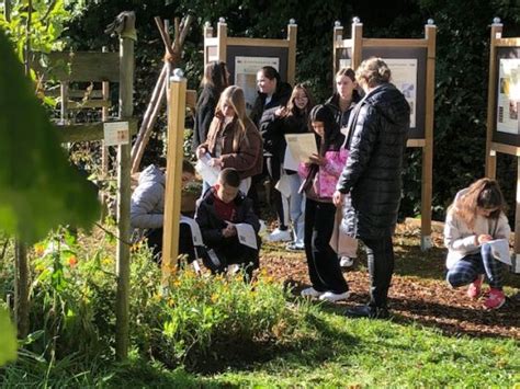 1000 Blumenzwiebeln für Bienen St Angela Schule Düren