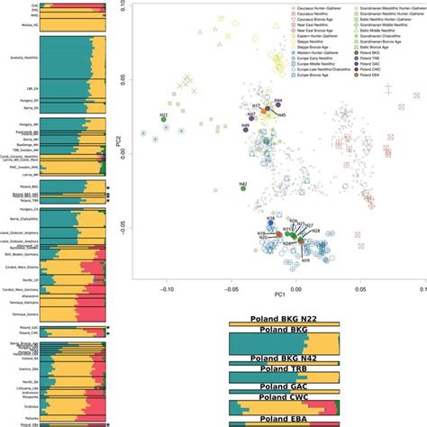 Ancestry Proportions Based On QpAdm Visual Representation Of The Main