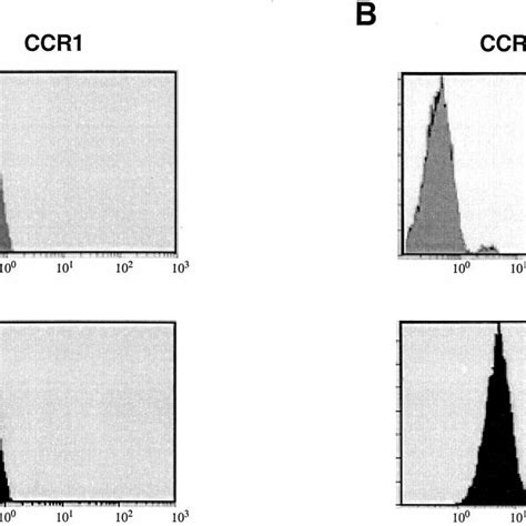 Pm1 Cells Express Cell Surface Ccr5 Cell Surface Expression Of Ccr1