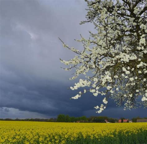 Sonne Graupel Regen Durchwachsenes Wetter Kommt Nach NRW WELT