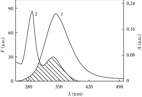 Fluorescence Emission Spectra For Bsa 1 And Uv Absorbance Spectra For