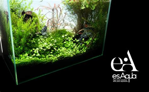 47％割引【再入荷！】 Esaqua 120cm水槽用ライトスクリーン 魚用品水草 ペット用品 Otaonarenanejp