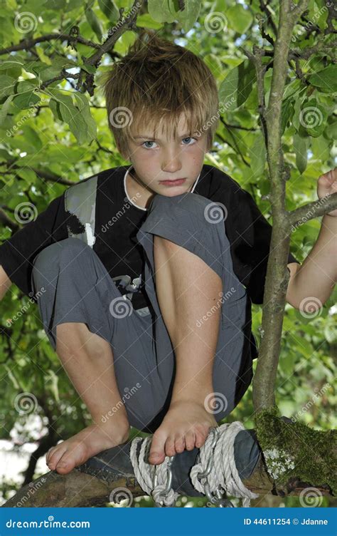 Menino Triste Que Joga Em Uma Rvore Foto De Stock Imagem De Macho